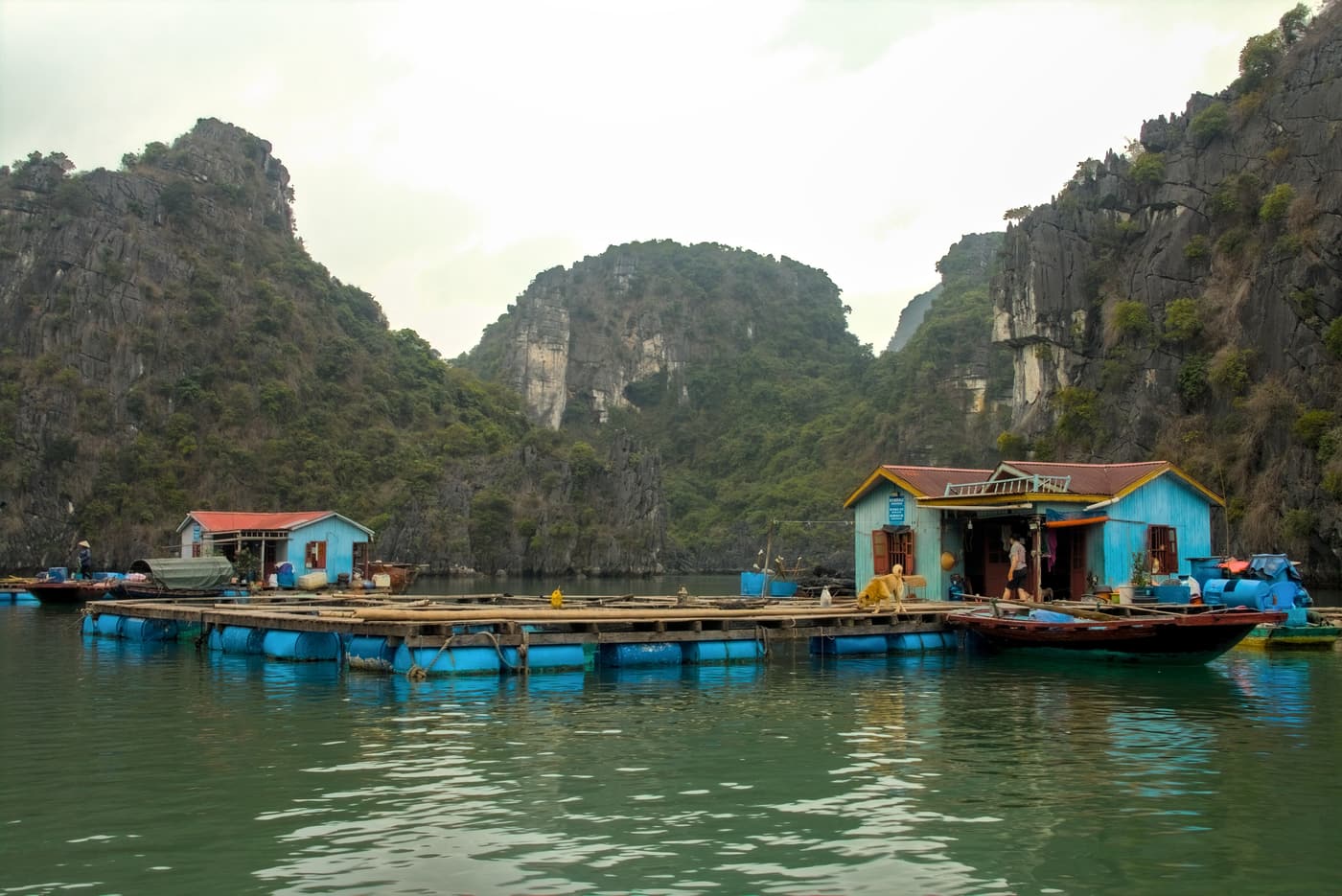 Floating fishermen’s houses on barrels beneath karst cliffs in Bai Tu Long Bay